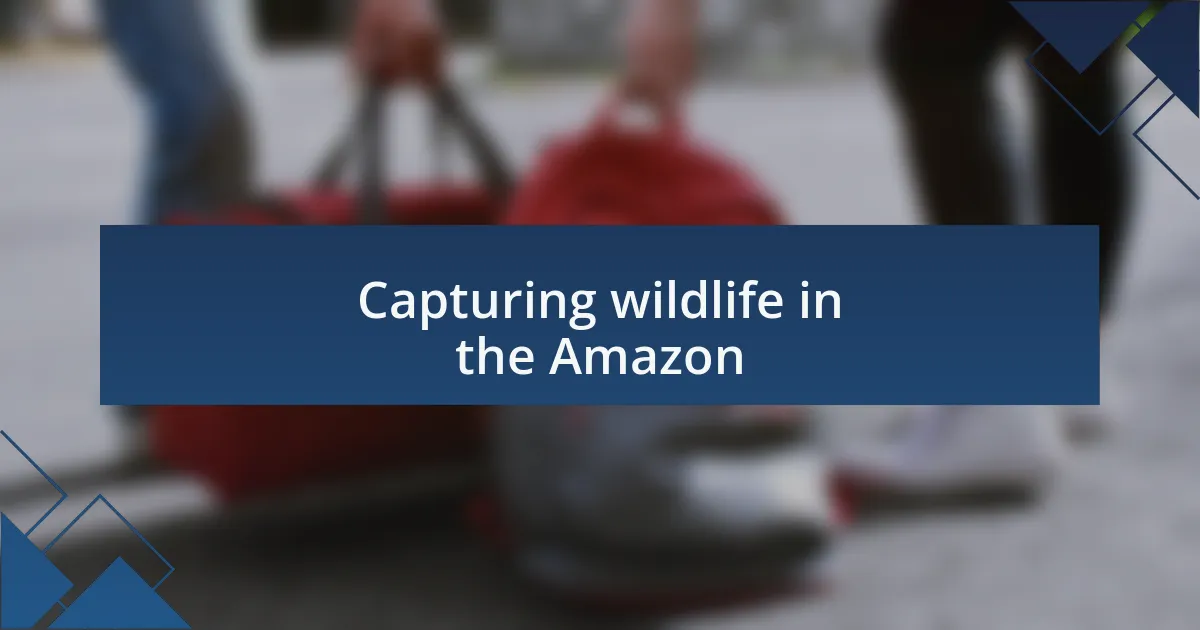 Capturing wildlife in the Amazon