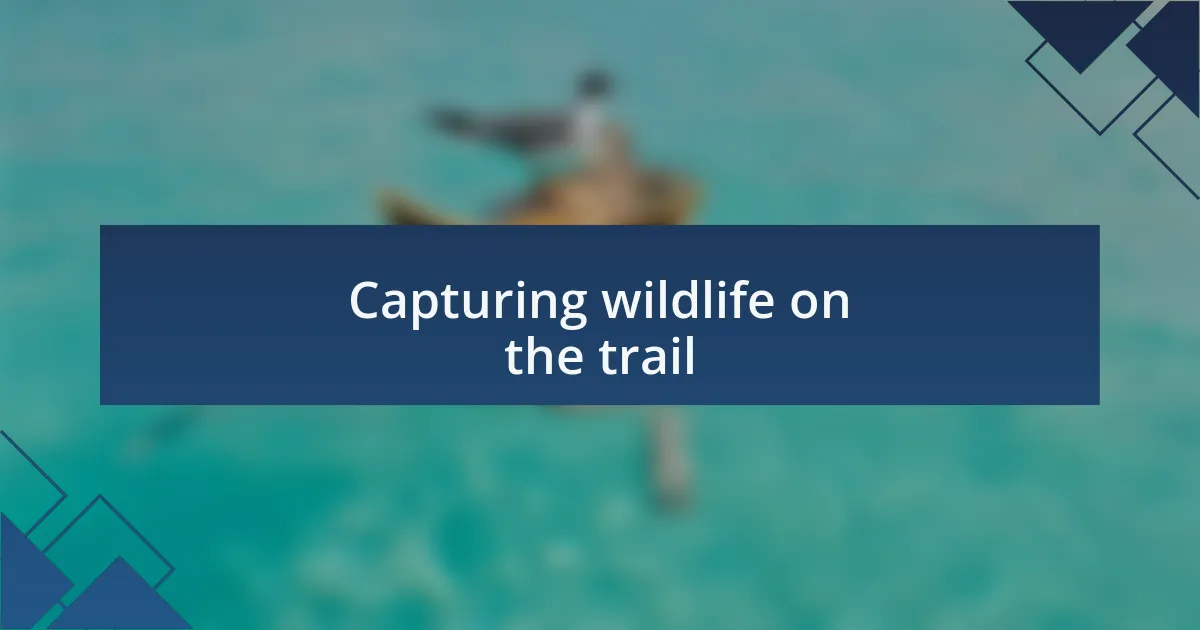 Capturing wildlife on the trail