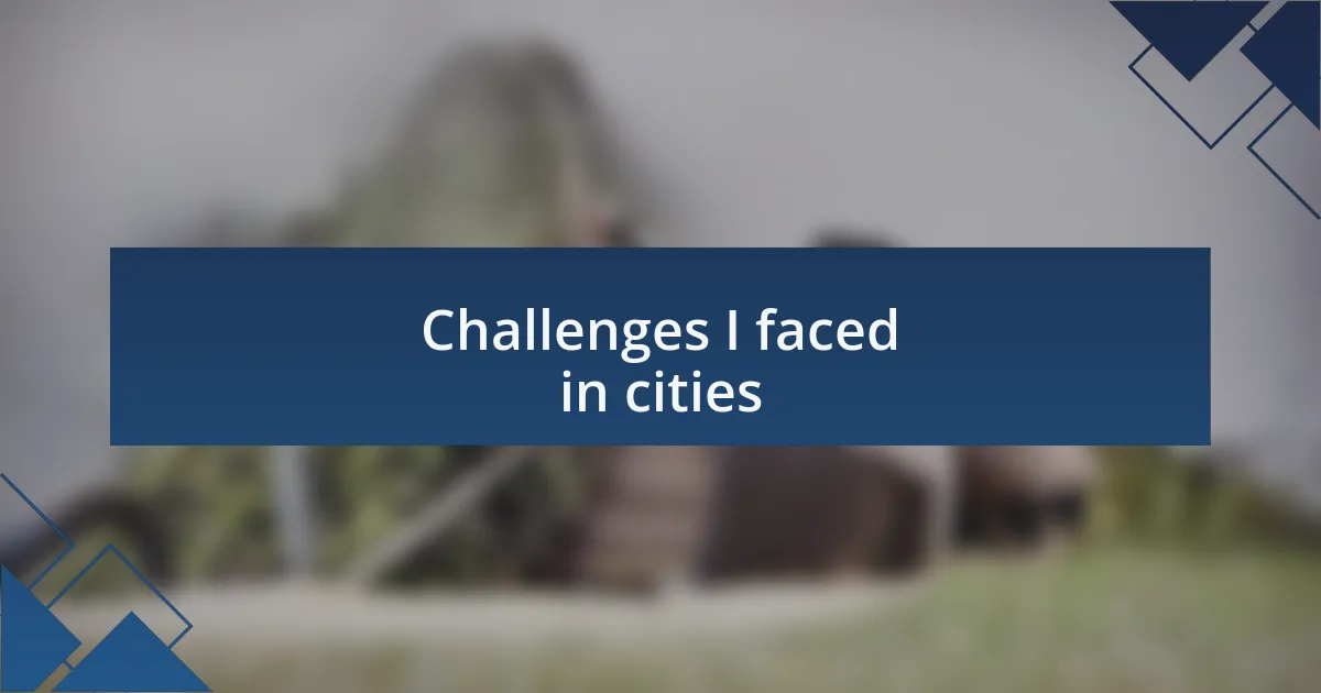 Challenges I faced in cities