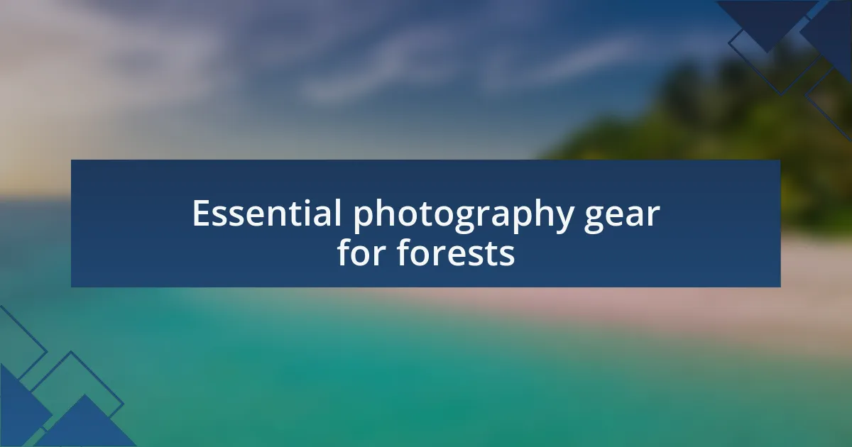 Essential photography gear for forests