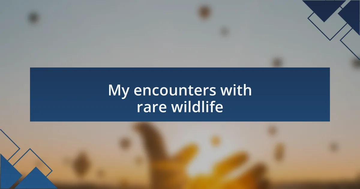 My encounters with rare wildlife