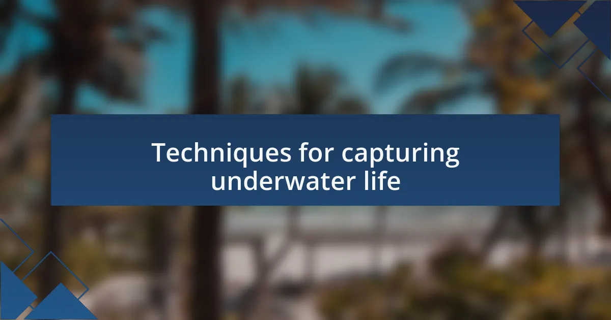 Techniques for capturing underwater life