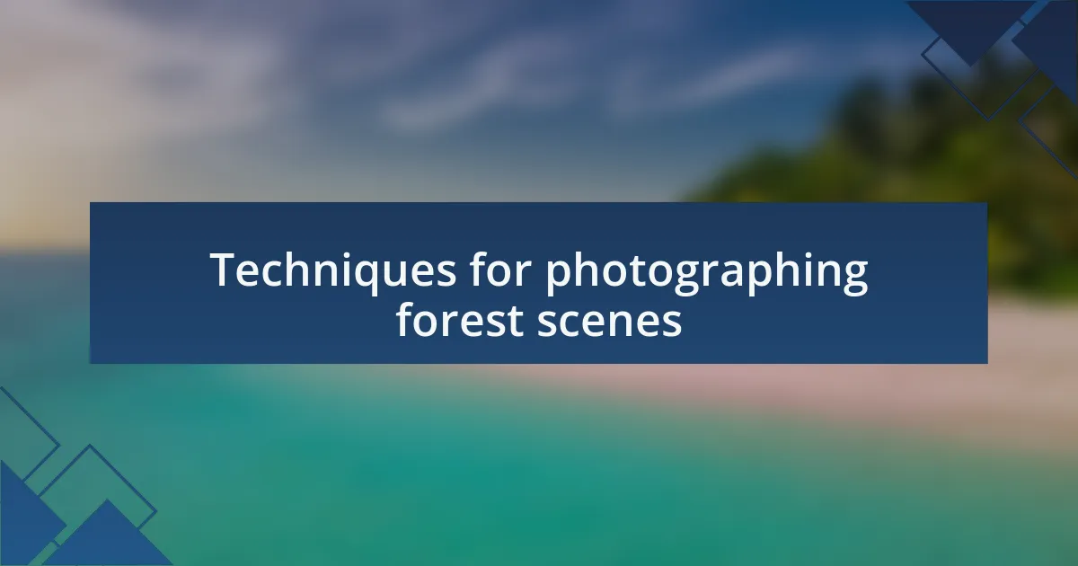 Techniques for photographing forest scenes