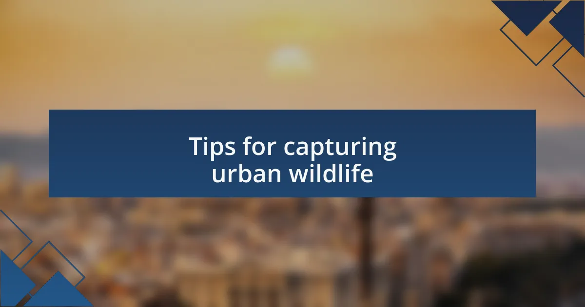 Tips for capturing urban wildlife