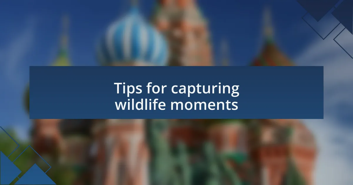 Tips for capturing wildlife moments