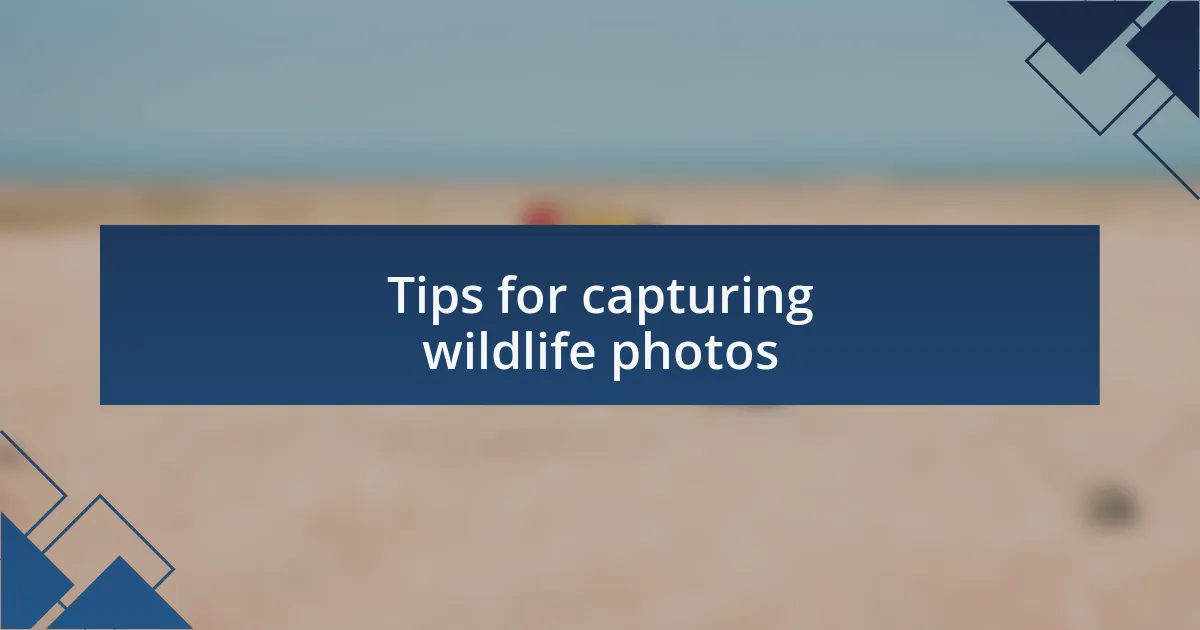 Tips for capturing wildlife photos