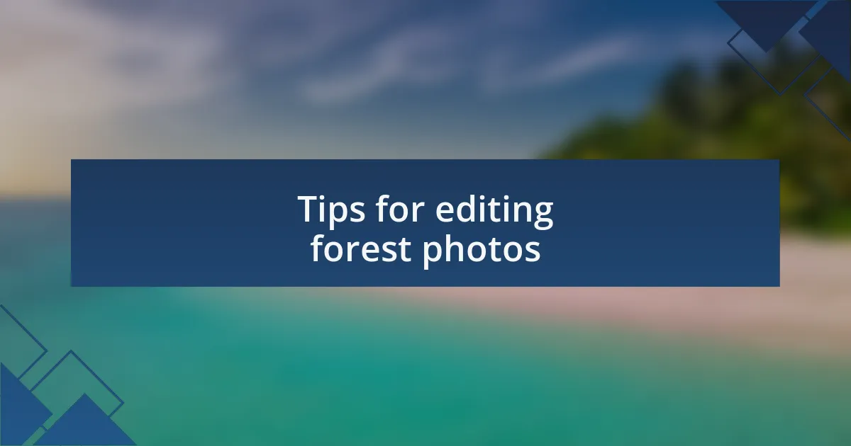 Tips for editing forest photos