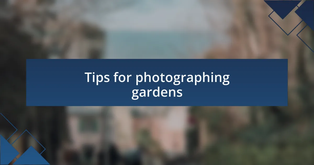 Tips for photographing gardens