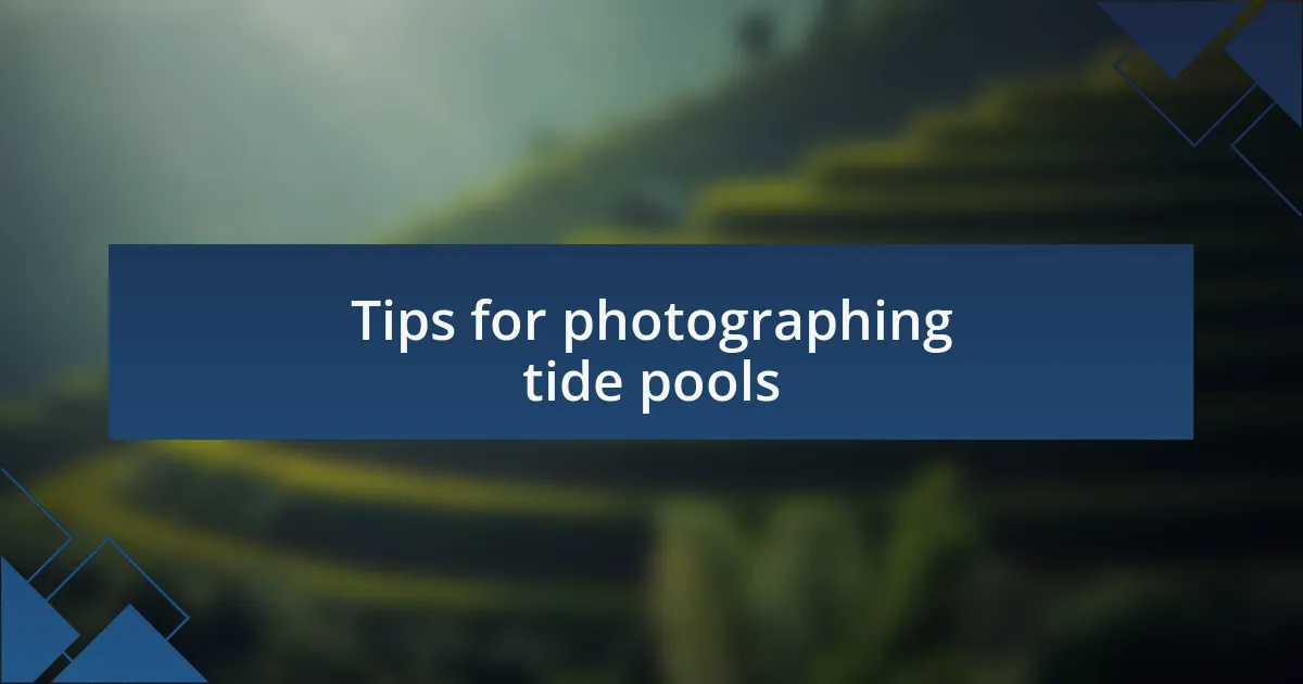 Tips for photographing tide pools