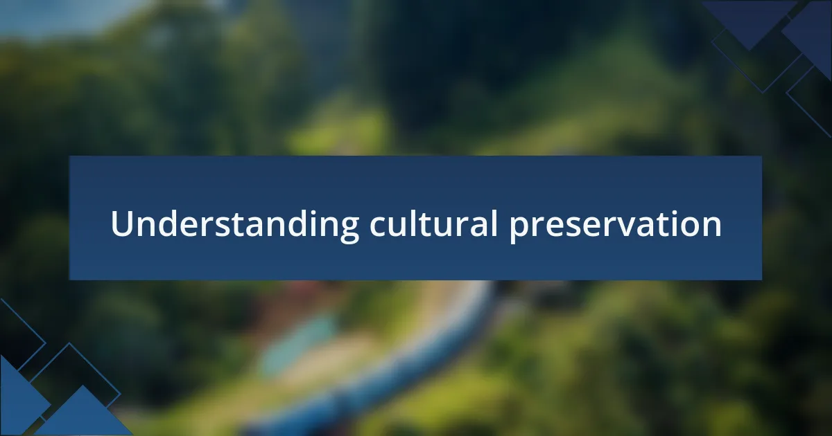 Understanding cultural preservation