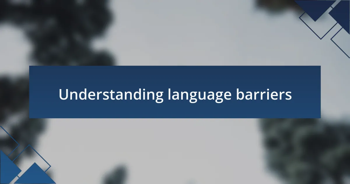 Understanding language barriers